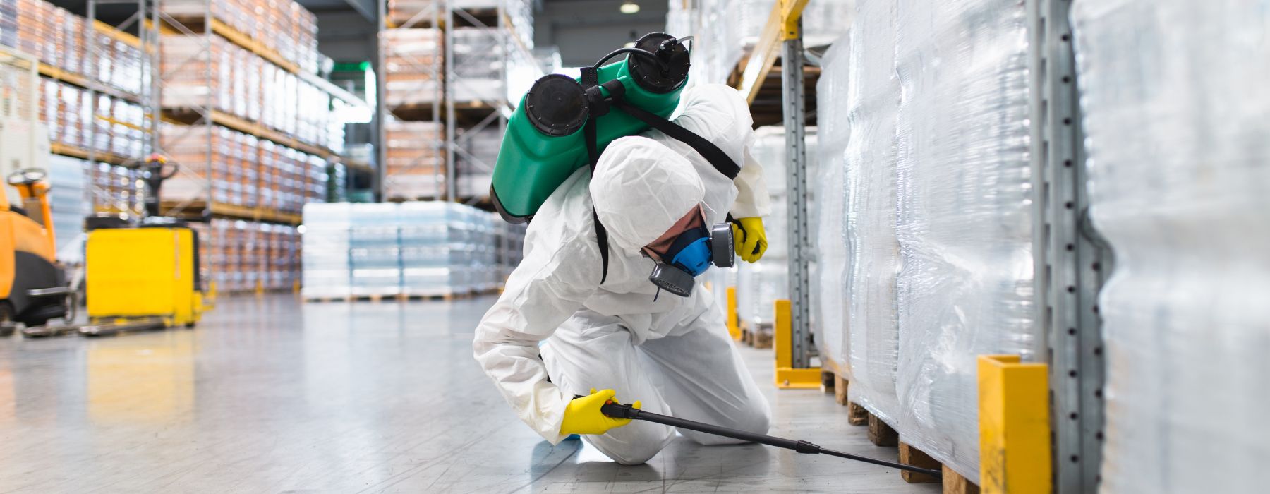 Termite Control Port Charlotte Fl